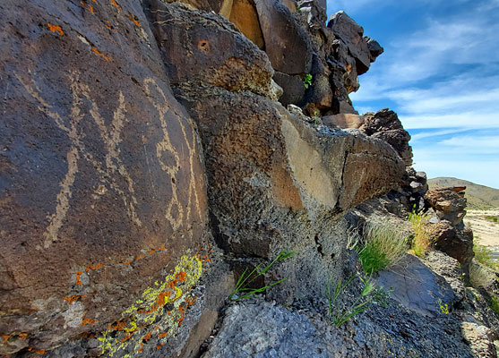 Lichen and petroglyphs on volcanic rocks