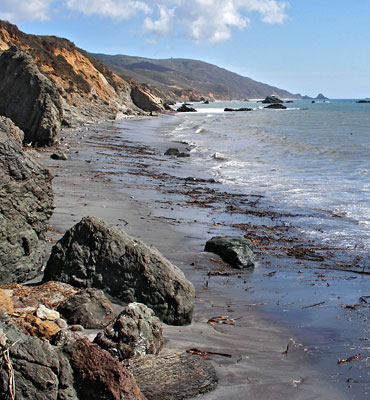 Andrew Molera State Park