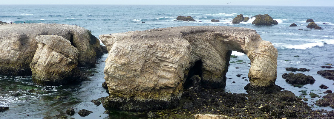 Elephant-like rocks at low tide, near Point Buchon