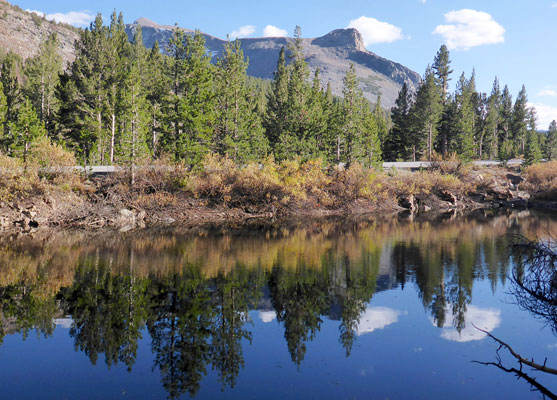 Pond next to the Tioga Road