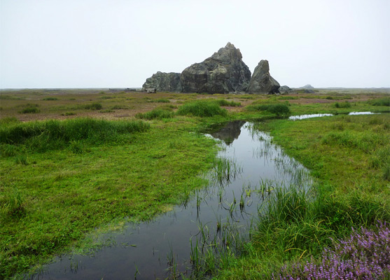 Reflections on still water at the lower end of Ossagon Creek