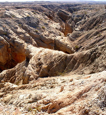 Palm Wash, Anza-Borrego Desert