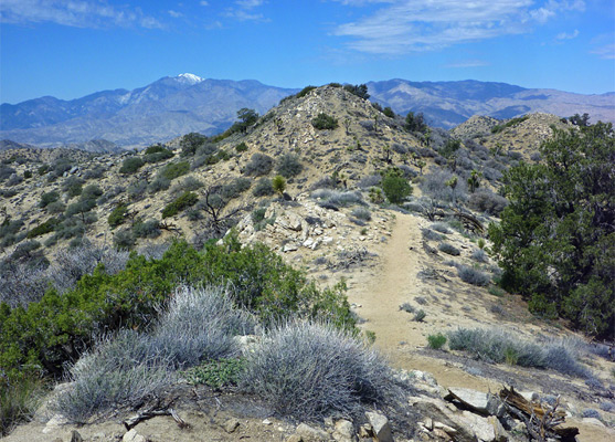 Highpoint of the Panorama Trail