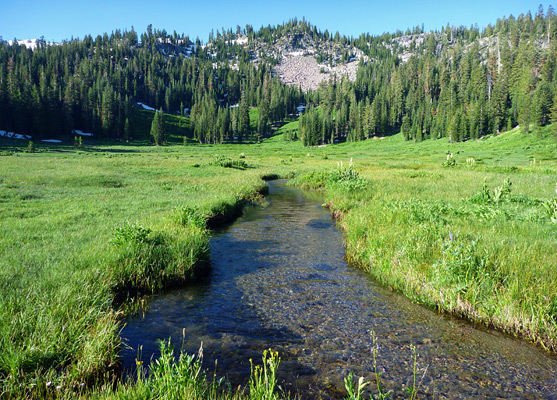 Shallow stream through Paradise Meadows