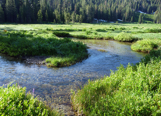 Bend along the creek