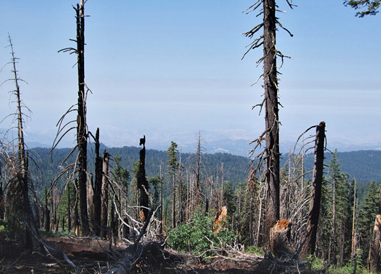 View south from Park Ridge, towards the Central Valley