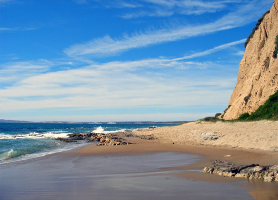 Sandy beach along the Point Reyes coast