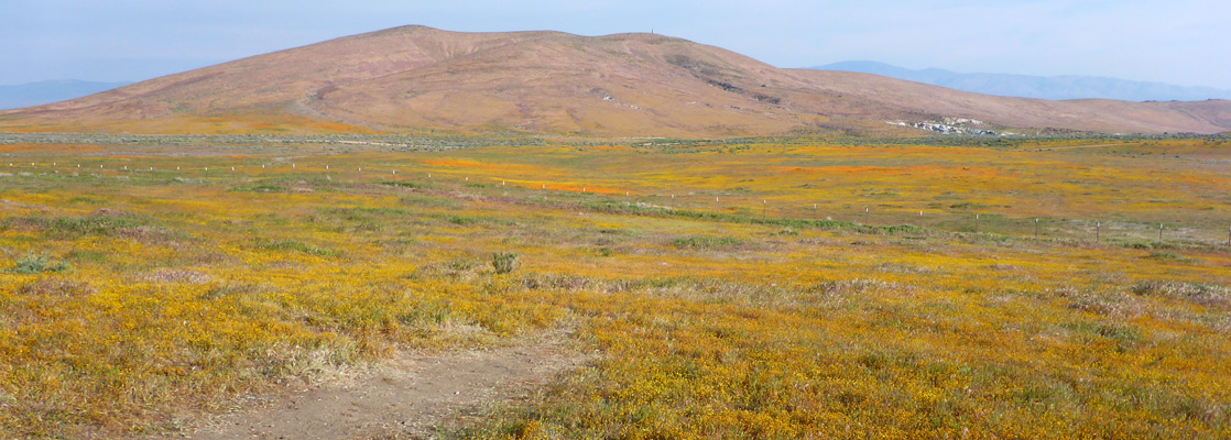 Fairmont Butte; view along the north part of the Poppy Trail