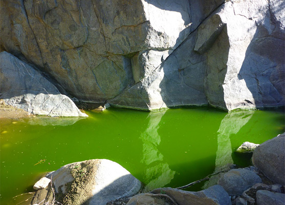 Green-water pool beneath grey granite