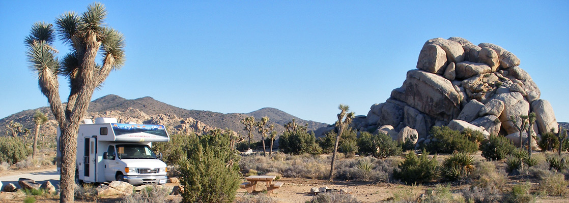 Joshua trees and granite boulders, at Ryan Mountain Campground