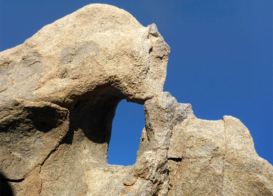 Arch north of the Shark's Fin
