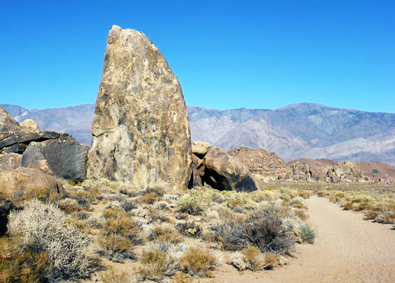 West side of the Shark's Fin