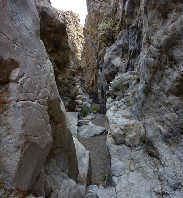 Middle of the lower narrows in Slit Canyon