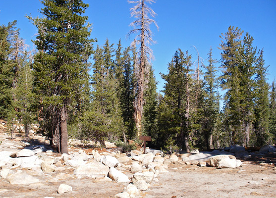 Clouds Rest trail junction