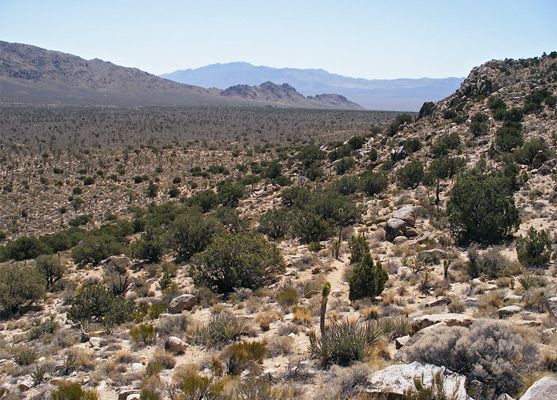 View south from Teutonia Peak