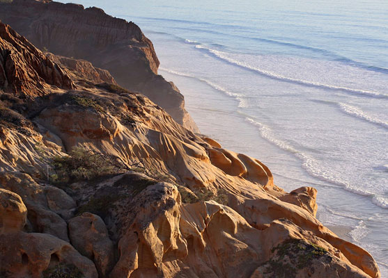 Torrey Pines State Reserve