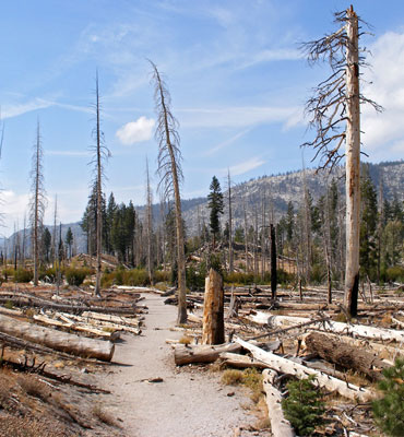 Rainbow Falls Trail, Devils Postpile National Monument, California