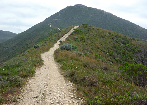 Grassy ridge along the Valencia Peak Trail