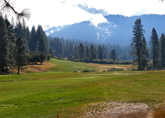 Meadow at Wawona