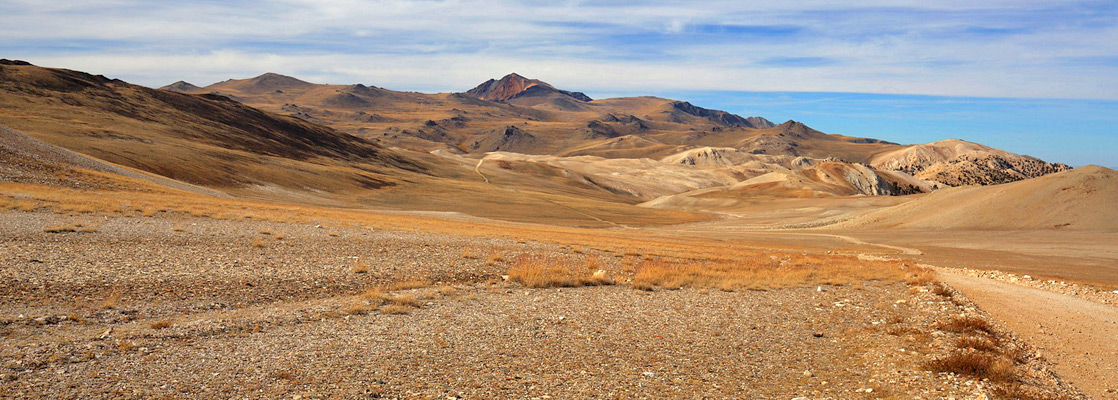 The road north, beyond the Patriarch Grove