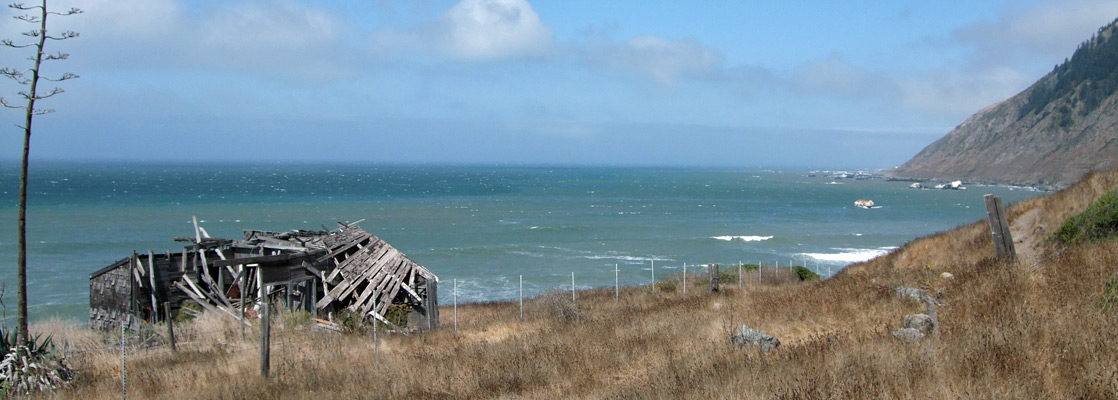 Ruined wooden cabin south of Sea Lion Gulch