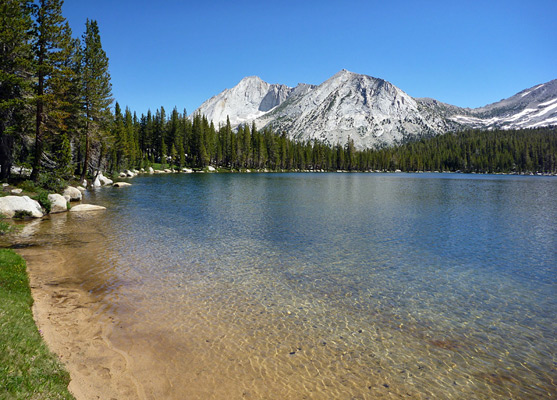 Shallow water along the edge of lower Youngs Lake