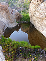 Reflections on a pool