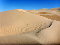 Algodones Dunes