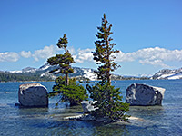 Boulders and trees