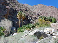 View up the valley