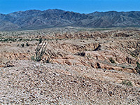 The Borrego Badlands