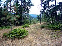 Little Bald Hills Trail