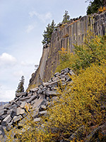 Bushes by the cliffs