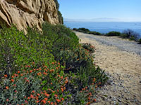 Bayside Trail