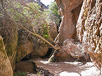 Entrance to Bear Gulch Cave