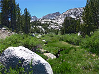 Boulders in a meadow