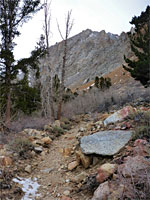 Boulders by the path