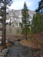 Bishop Creek