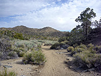 Black Rock Canyon