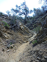 Bend in a narrow ravine