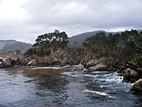 Point Lobos State Natural Reserve