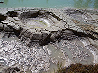 Mud pots at the edge of the lake