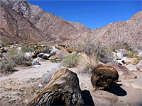 Logs and boulders