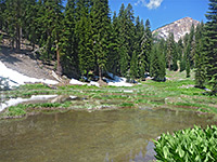 Pond along a creek