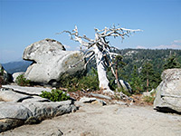 Buena Vista Peak