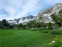 Meadow near Bull Lake