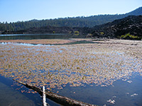 Butte Lake