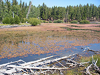 Northwest end of Butte Lake