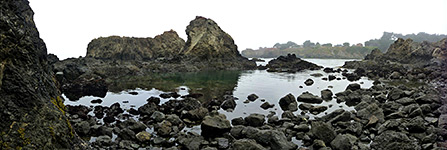 Rocks at low tide