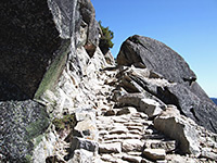 Steps on the trail